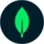 MongoDB Community Forums logo